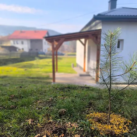 Vukasinova Stanica *